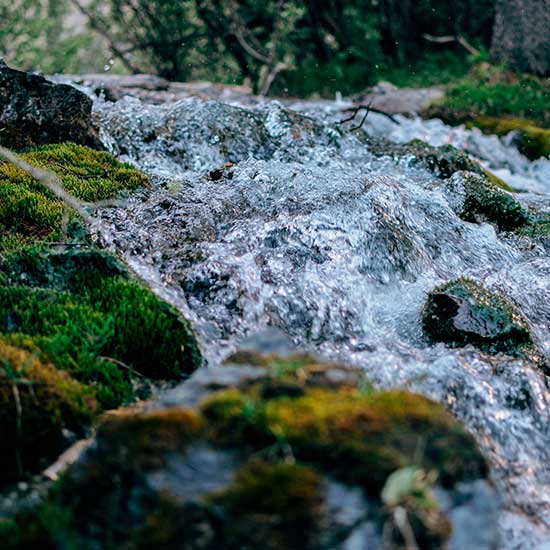 preservación del agua